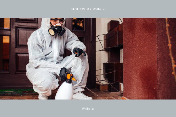 PEST CONTROL Walhalla